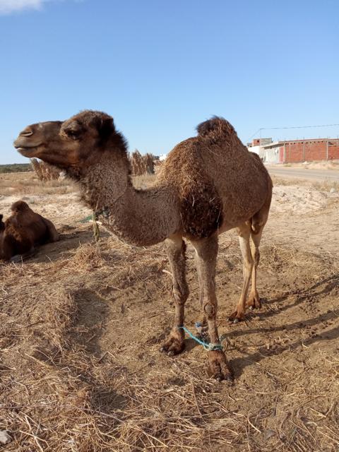 7d7f4723-826a-467e-b477-ecf107d0e6e5_4_orig