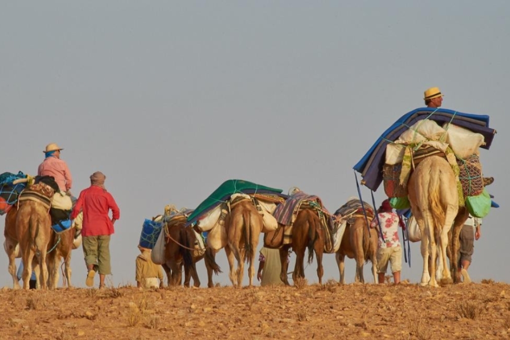 Erfahrungsbericht: Meine erste Wüstenwanderung ab Schweiz in die Sahara