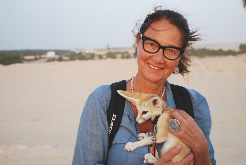 Warum eine Sahara-Tour in Tunesien auf Ihre Bucket List gehört